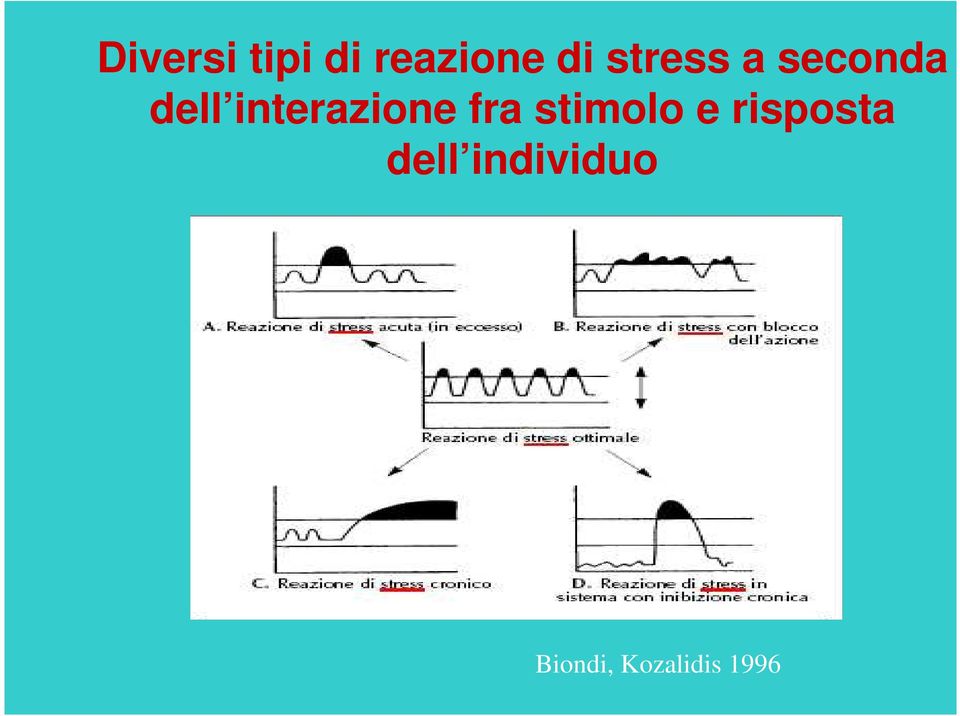 interazione fra stimolo e