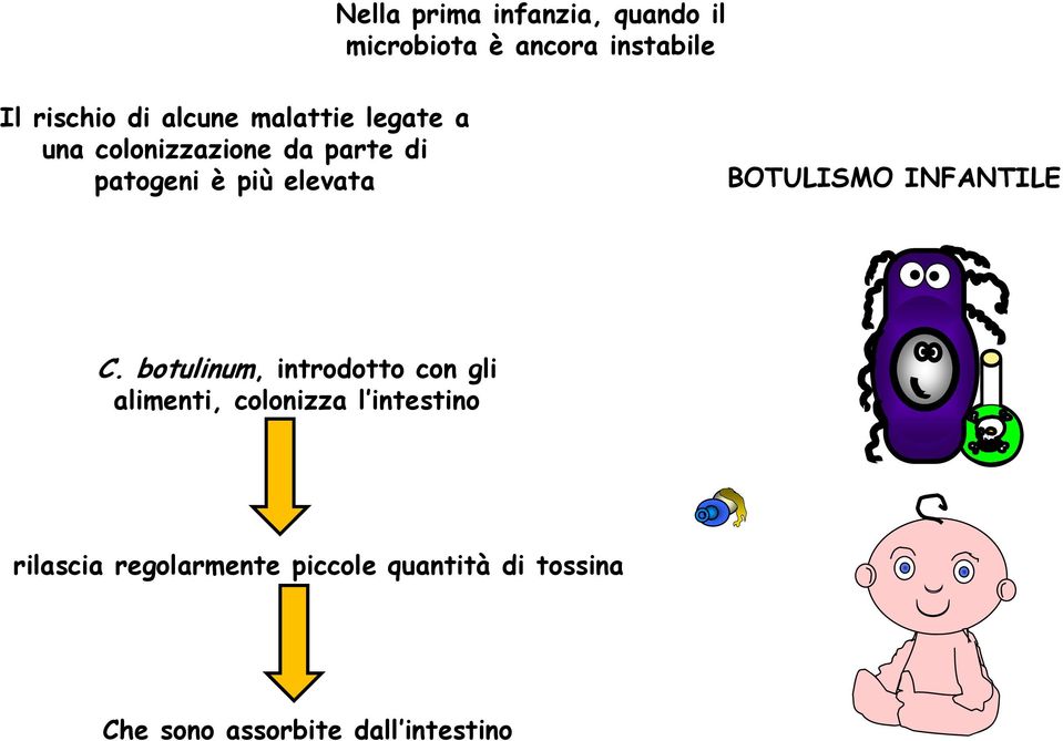 BOTULISMO INFANTILE C.