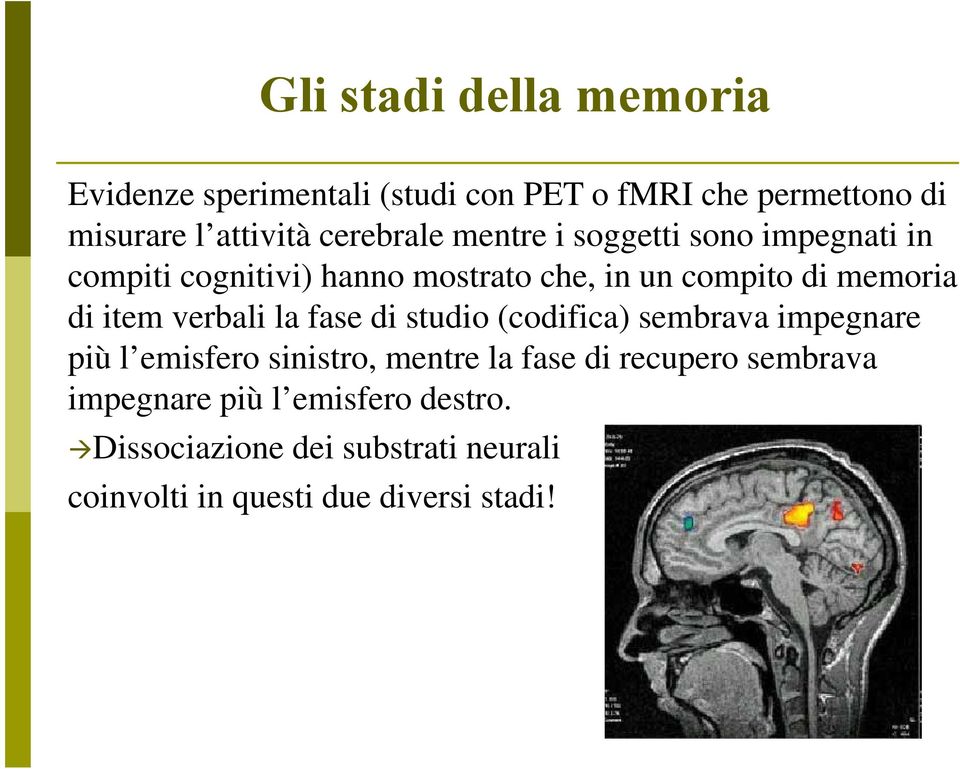 di item verbali la fase di studio (codifica) sembrava impegnare più l emisfero sinistro, mentre la fase di