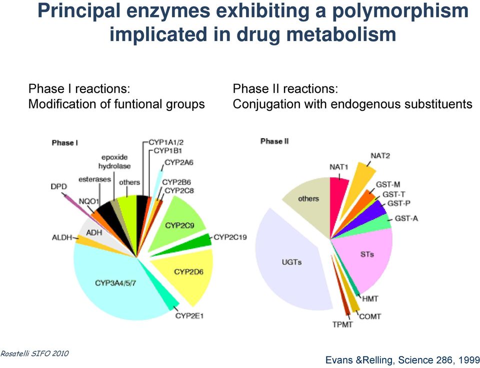 funtional groups Phase II reactions: Conjugation with