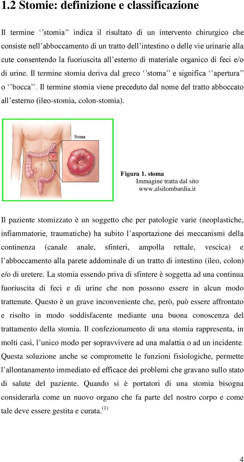 Il termine stomia viene preceduto dal nome del tratto abboccato all esterno (ileo-stomia, colon-stomia). Figura 1. stoma Immagine tratta dal sito www.alsilombardia.