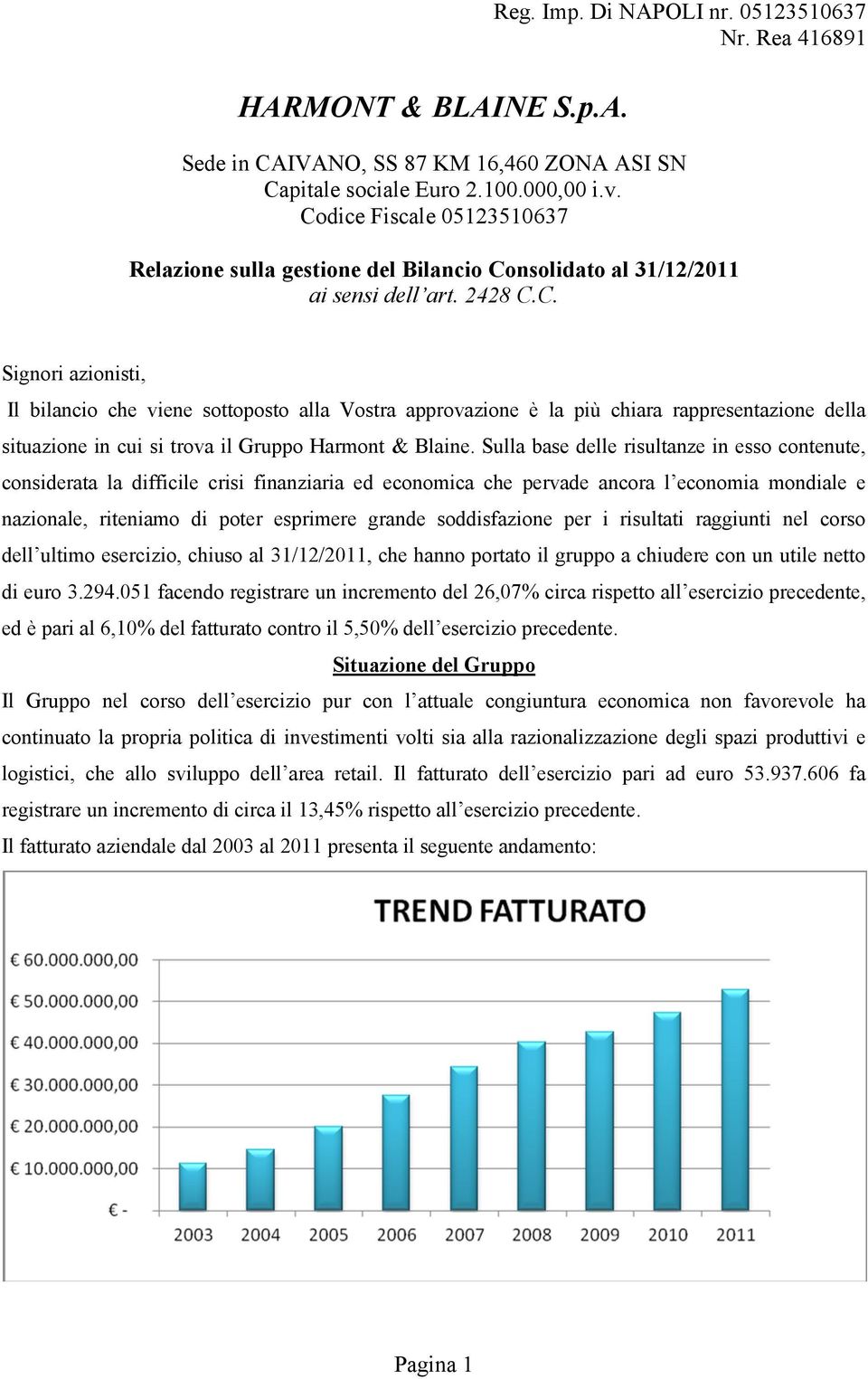 situazione in cui si trova il Gruppo Harmont & Blaine Sulla base delle risultanze in esso contenute, considerata la difficile crisi finanziaria ed economica che pervade ancora l economia mondiale e