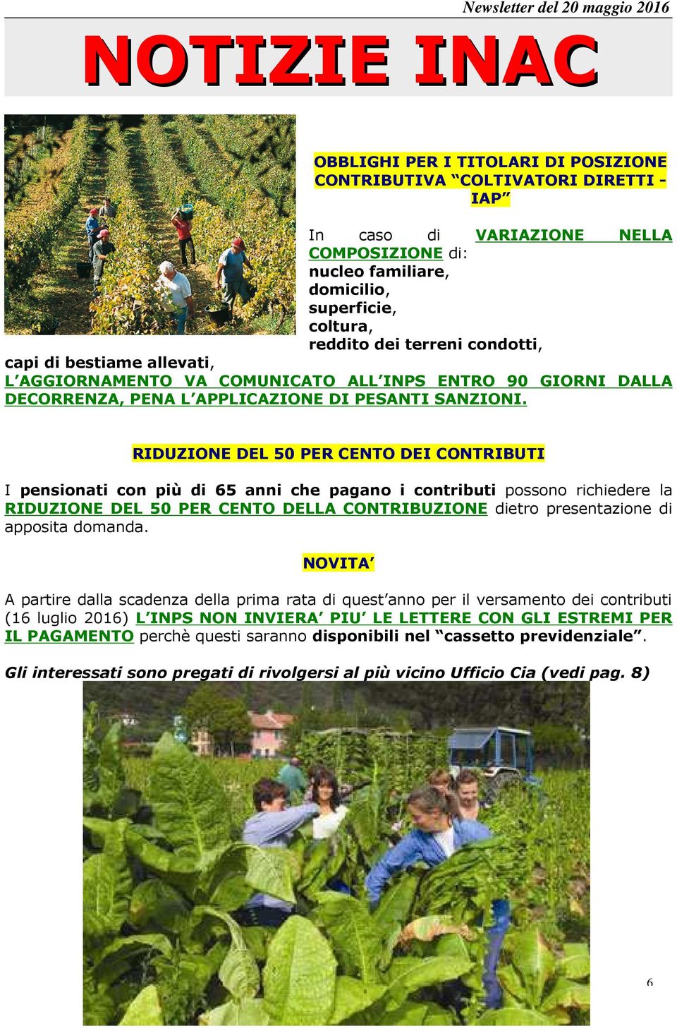 RIDUZIONE DEL 50 PER CENTO DEI CONTRIBUTI I pensionati con più di 65 anni che pagano i contributi possono richiedere la RIDUZIONE DEL 50 PER CENTO DELLA CONTRIBUZIONE dietro presentazione di apposita