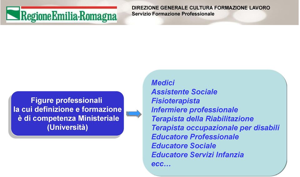 Infermiere professionale Terapista della Riabilitazione Terapista