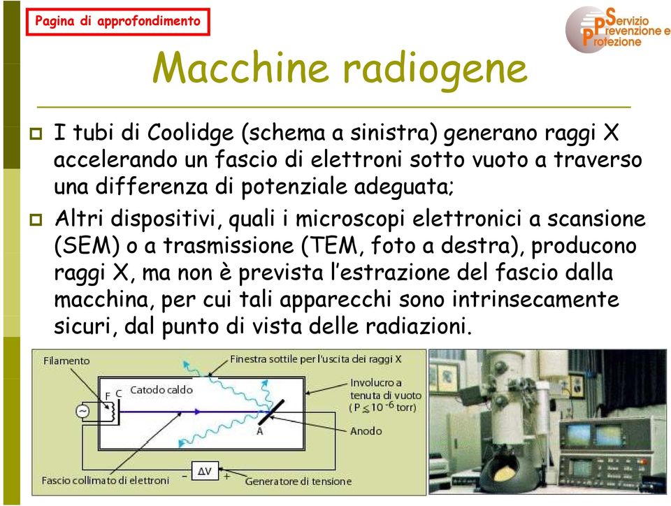 a scansione (SEM) o a trasmissione (TEM, foto a destra), producono raggi X, ma non è prevista l estrazione del