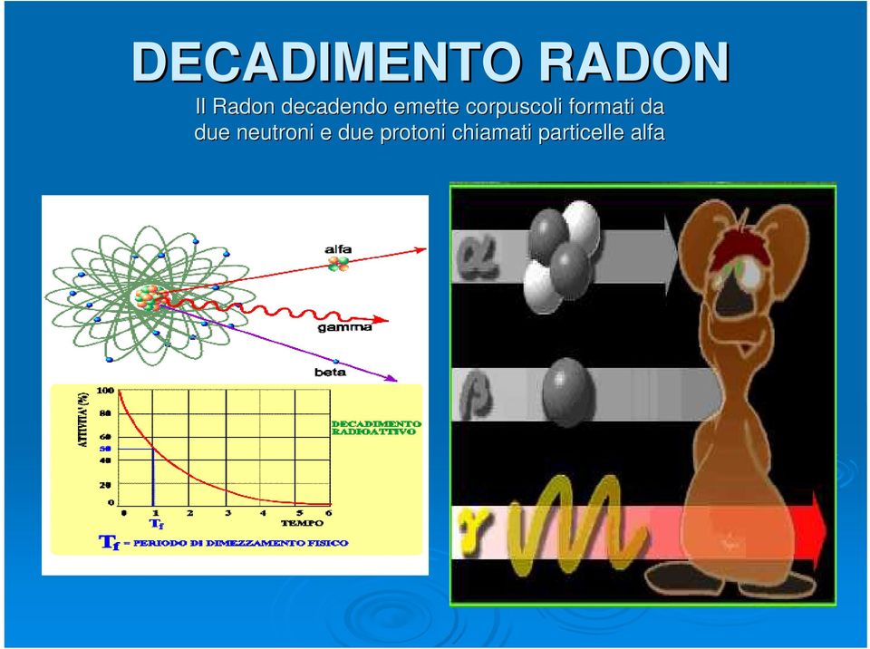 formati da due neutroni e due