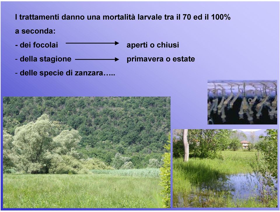 focolai aperti o chiusi - della stagione