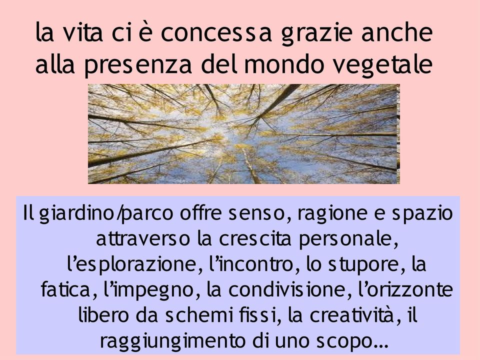 personale, l esplorazione, l incontro, lo stupore, la fatica, l impegno, la