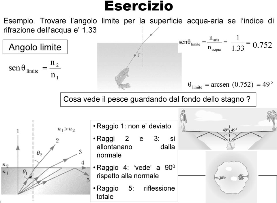 752) 49 Cosa vee l pesce guarano al fono ello stagno?