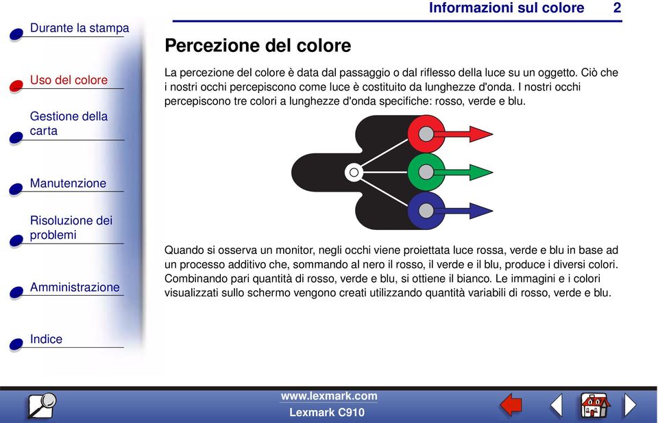 I nostri occhi percepiscono tre colori a lunghezze d'onda specifiche: rosso, verde e blu.