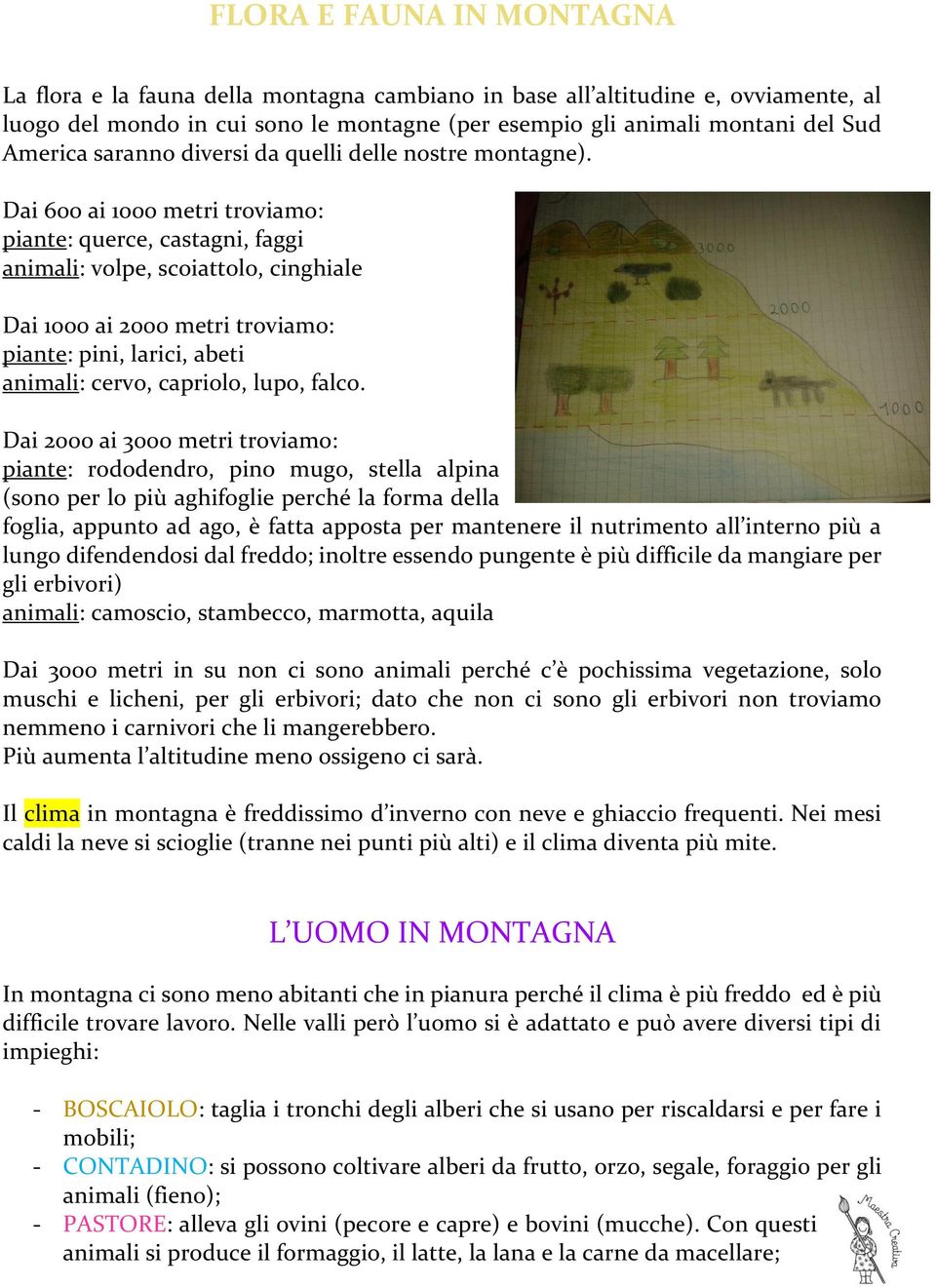 Dai 600 ai 1000 metri troviamo: piante: querce, castagni, faggi animali: volpe, scoiattolo, cinghiale Dai 1000 ai 2000 metri troviamo: piante: pini, larici, abeti animali: cervo, capriolo, lupo,