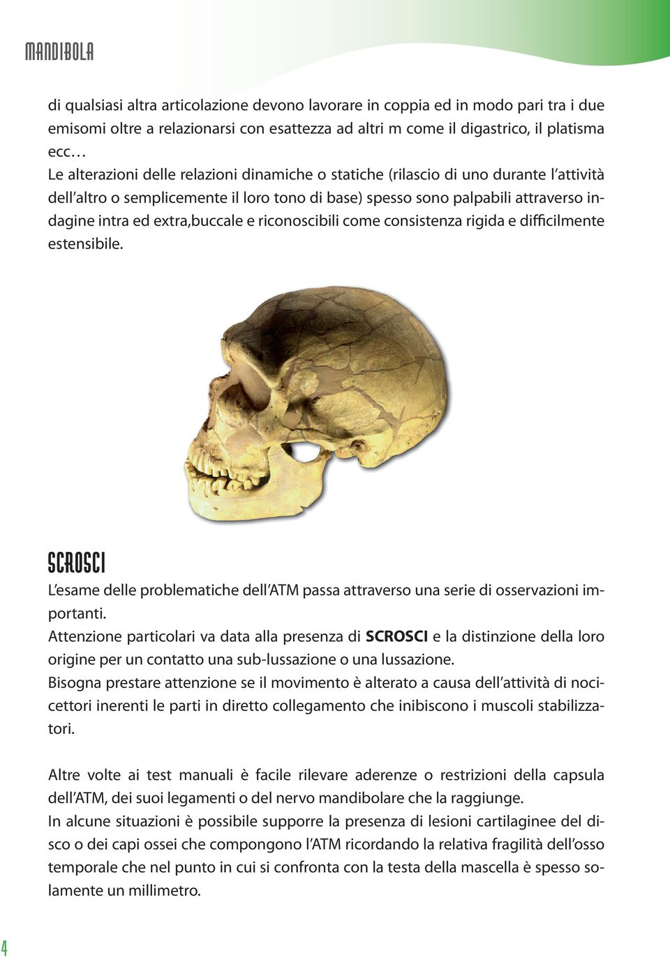 come consistenza rigida e difficilmente estensibile. SCROSCI L esame delle problematiche dell ATM passa attraverso una serie di osservazioni importanti.