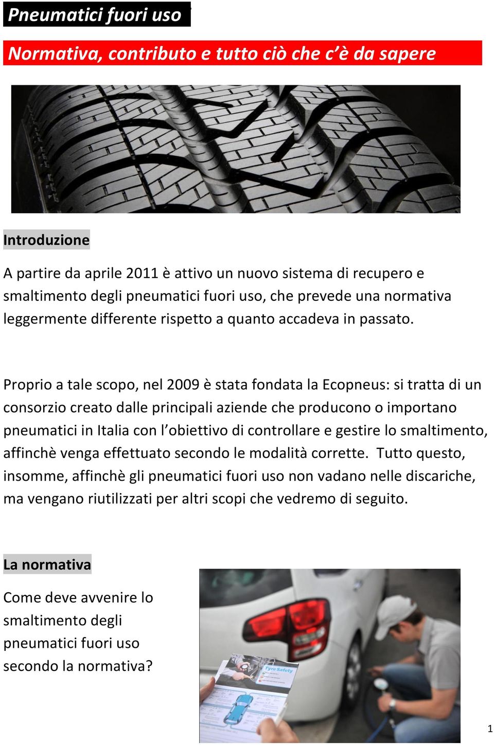 Proprio a tale scopo, nel 2009 è stata fondata la Ecopneus: si tratta di un consorzio creato dalle principali aziende che producono o importano pneumatici in Italia con l obiettivo di controllare e