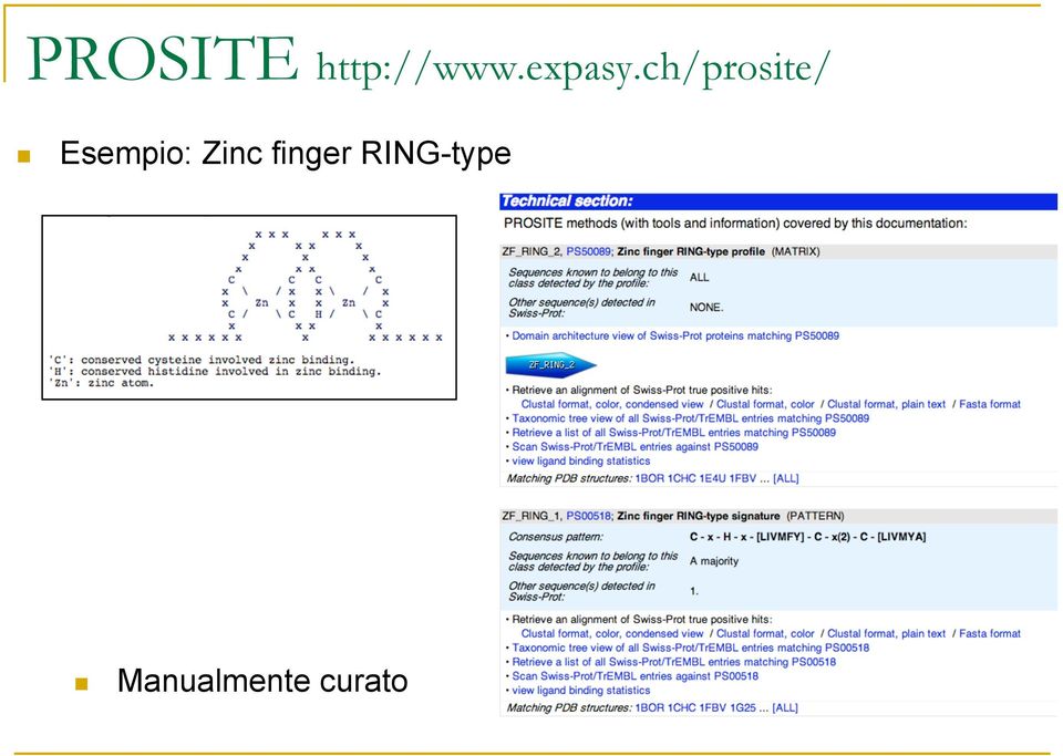 ch/prosite/ Esempio: