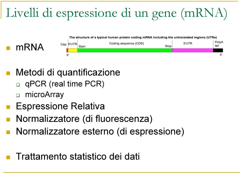 Espressione Relativa Normalizzatore (di fluorescenza)