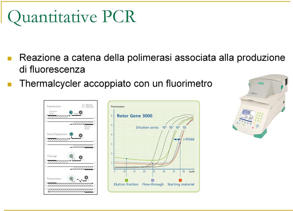 produzione di fluorescenza