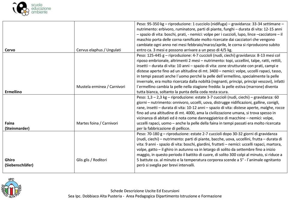 cacciatore il maschio porta delle corna ramificate molto ricercate dai cacciatori che vengono cambiate ogni anno nei mesi febbraio/marzo/aprile, le corna si riproducono subito entro ca.