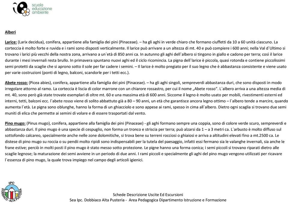 40 e può compiere i 600 anni; nella Val d`ultimo si trovano i larici più vecchi della nostra zona, arrivano a un`età di 850 anni ca.