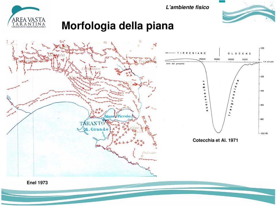 fisico Cotecchia