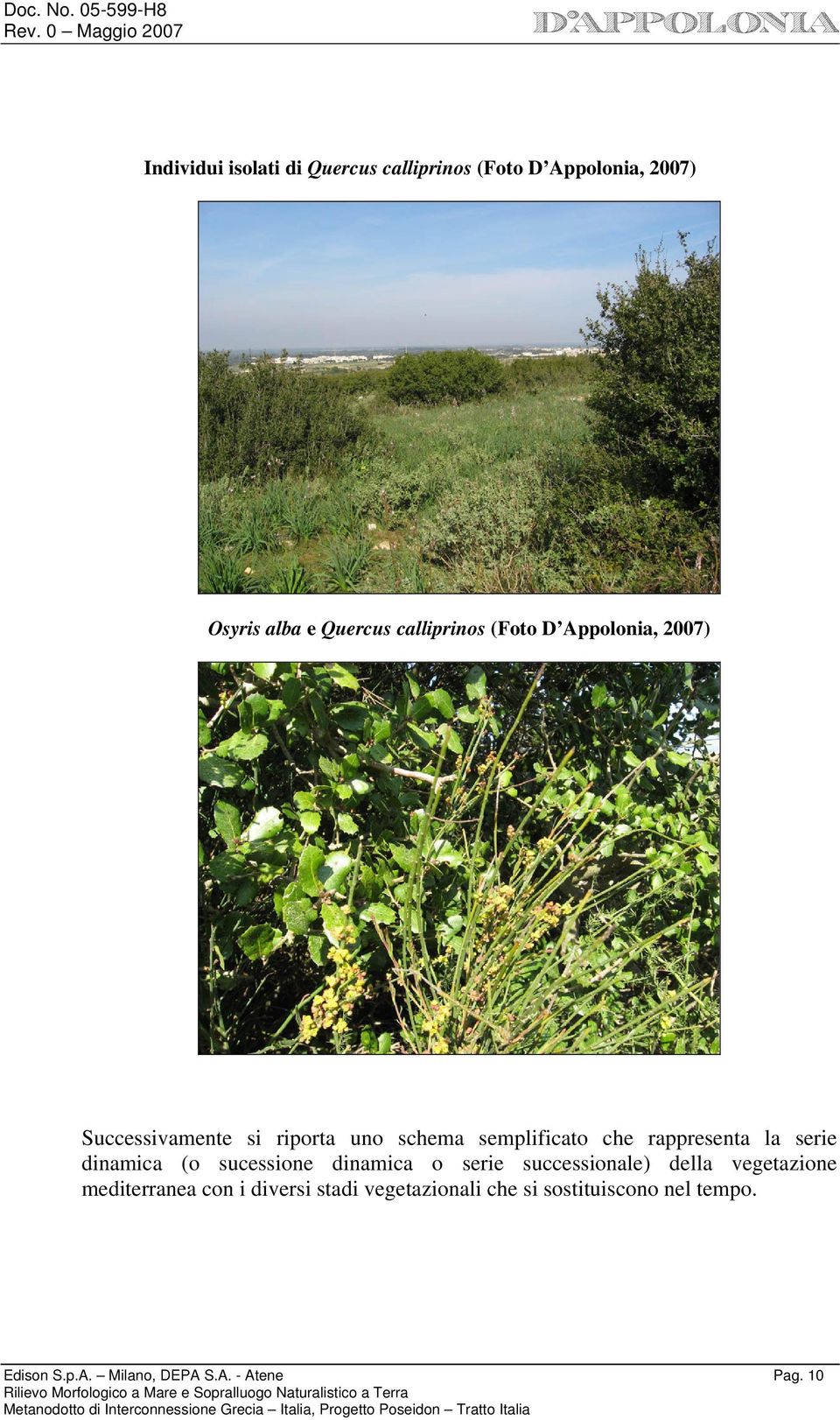 serie dinamica (o sucessione dinamica o serie successionale) della vegetazione mediterranea con i