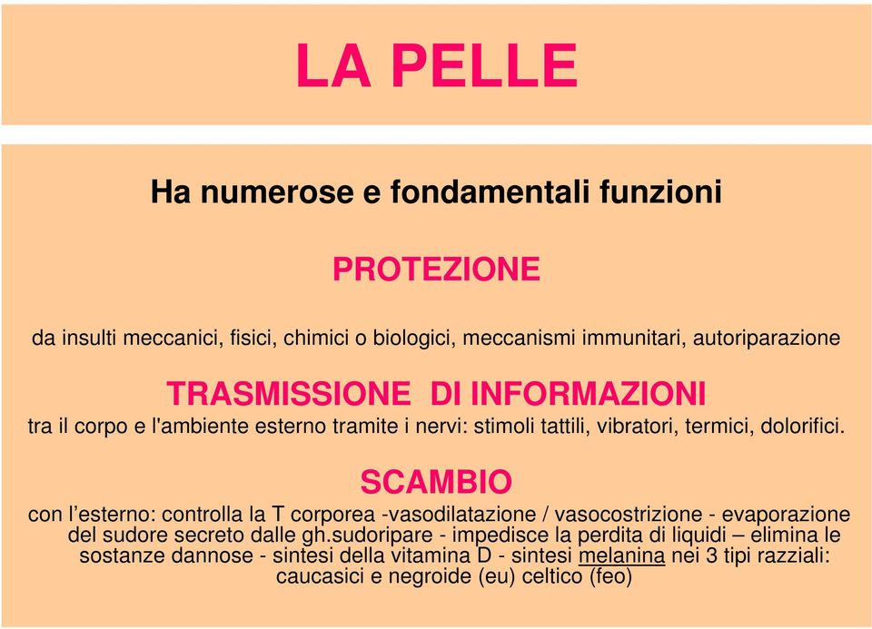 SCAMBIO con l esterno: controlla la T corporea -vasodilatazione / vasocostrizione - evaporazione del sudore secreto dalle gh.