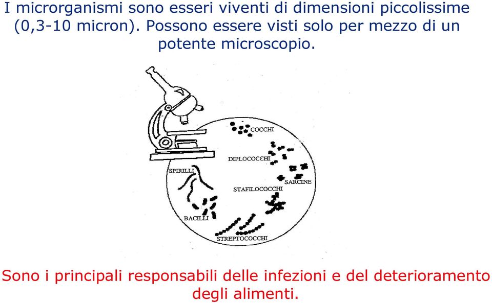 Possono essere visti solo per mezzo di un potente