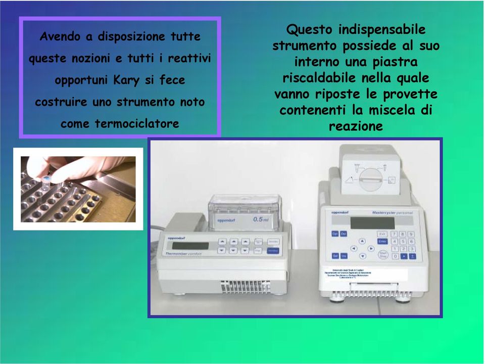 indispensabile strumento possiede al suo interno una piastra