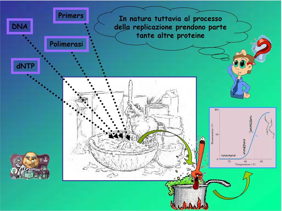 della replicazione prendono