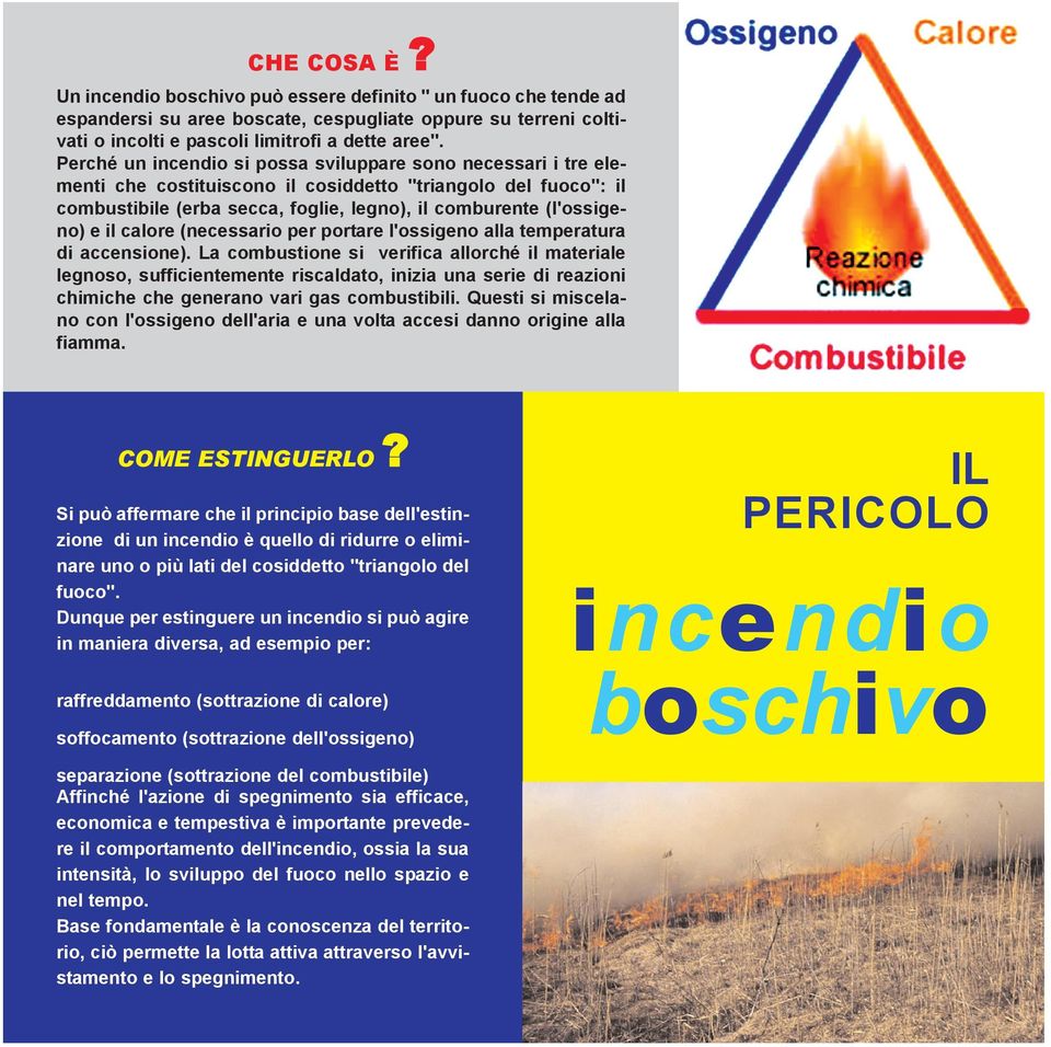 il calore (necessario per portare l'ossigeno alla temperatura di accensione).