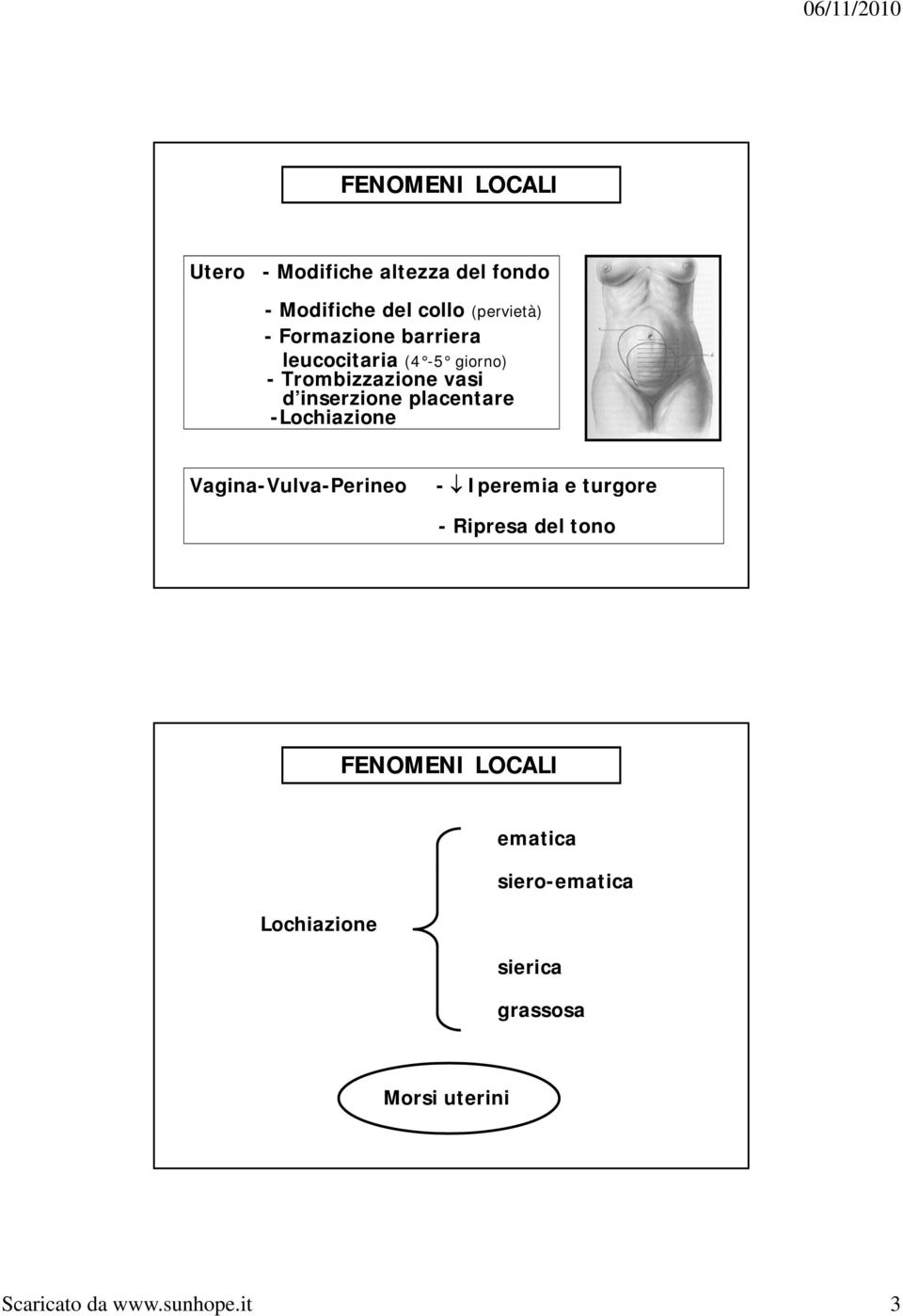 placentare -Lochiazione Vagina-Vulva-Perineo - Iperemia e turgore - Ripresa del tono