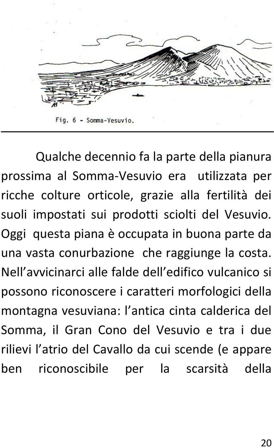 Nell avvicinarci alle falde dell edifico vulcanico si possono riconoscere i caratteri morfologici della montagna vesuviana: l antica cinta