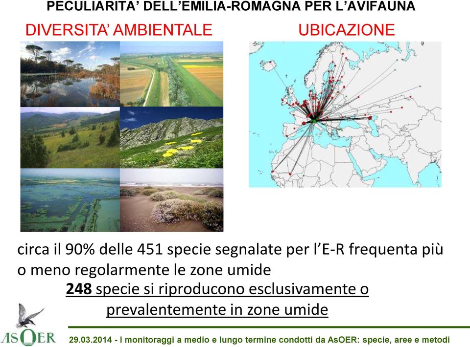 umide 248 specie si riproducono esclusivamente o prevalentemente in zone umide 29.03.