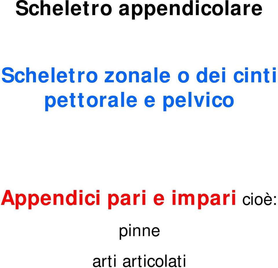 pettorale e pelvico Appendici