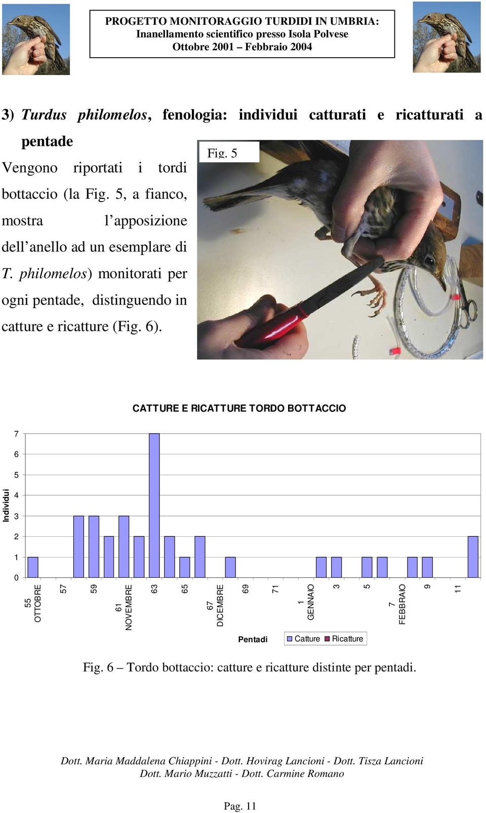 philomelos) monitorati per ogni pentade, distinguendo in catture e ricatture (Fig. 6). Fig.