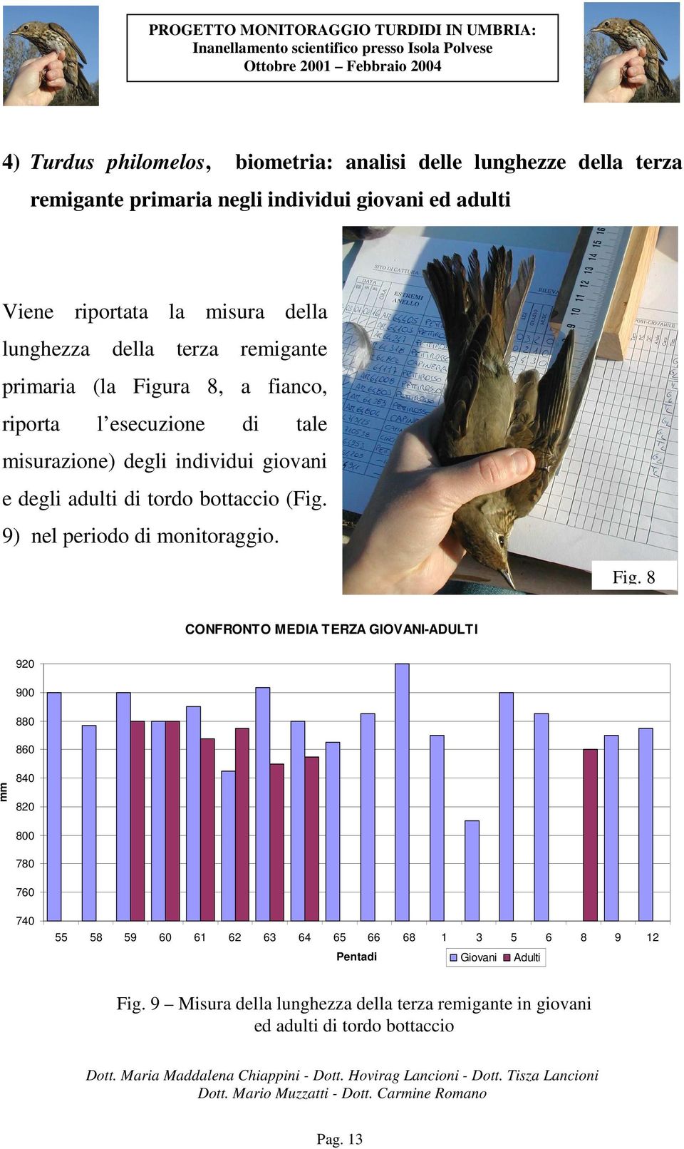 adulti di tordo bottaccio (Fig. 9) nel periodo di monitoraggio. Fig.