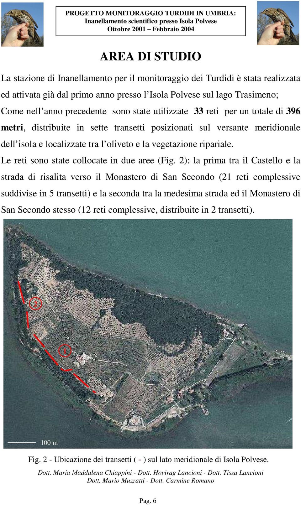 ripariale. Le reti sono state collocate in due aree (Fig.