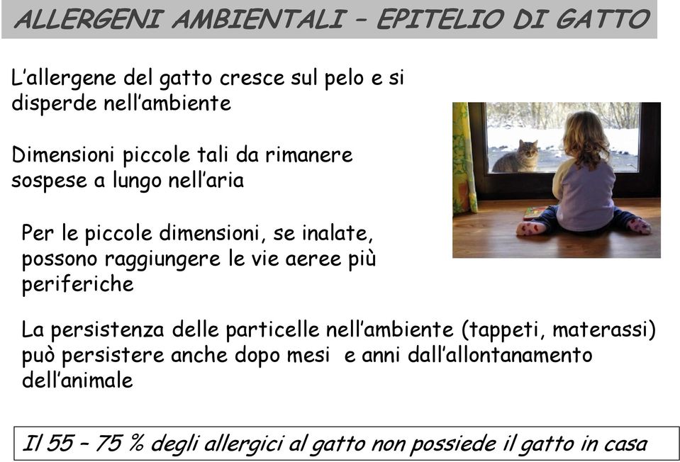 raggiungere le vie aeree più periferiche La persistenza delle particelle nell ambiente (tappeti, materassi) può