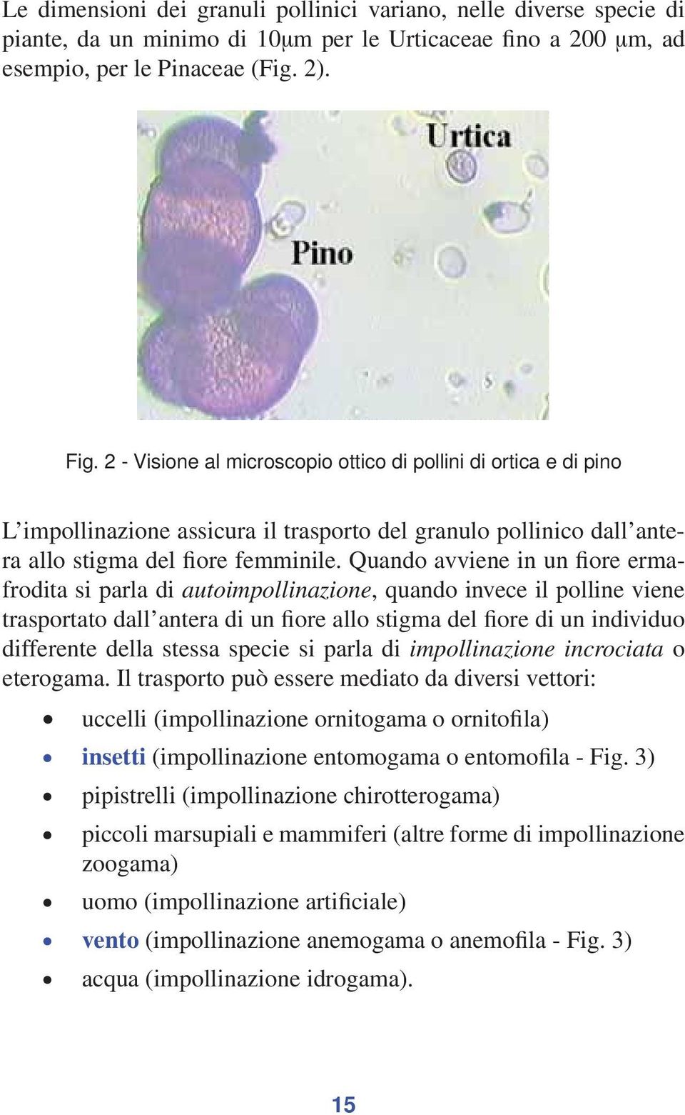 Quando avviene in un fiore ermafrodita si parla di autoimpollinazione, quando invece il polline viene trasportato dall antera di un fiore allo stigma del fiore di un individuo differente della stessa