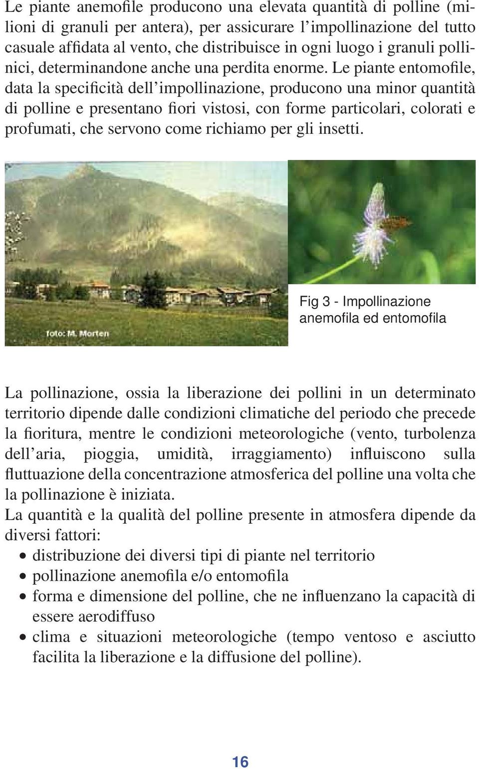 Le piante entomofile, data la specificità dell impollinazione, producono una minor quantità di polline e presentano fiori vistosi, con forme particolari, colorati e profumati, che servono come