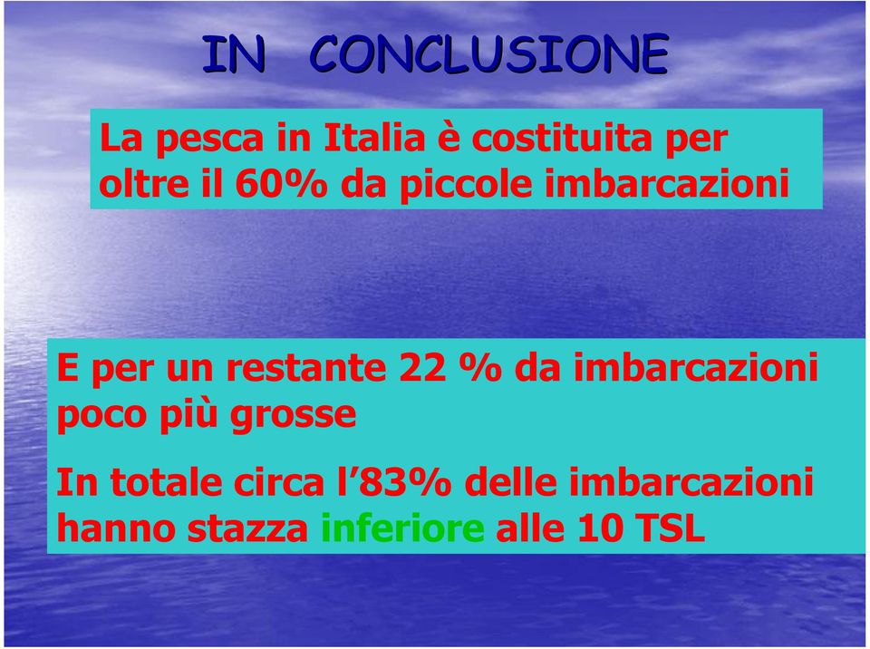 22 % da imbarcazioni poco più grosse In totale circa l