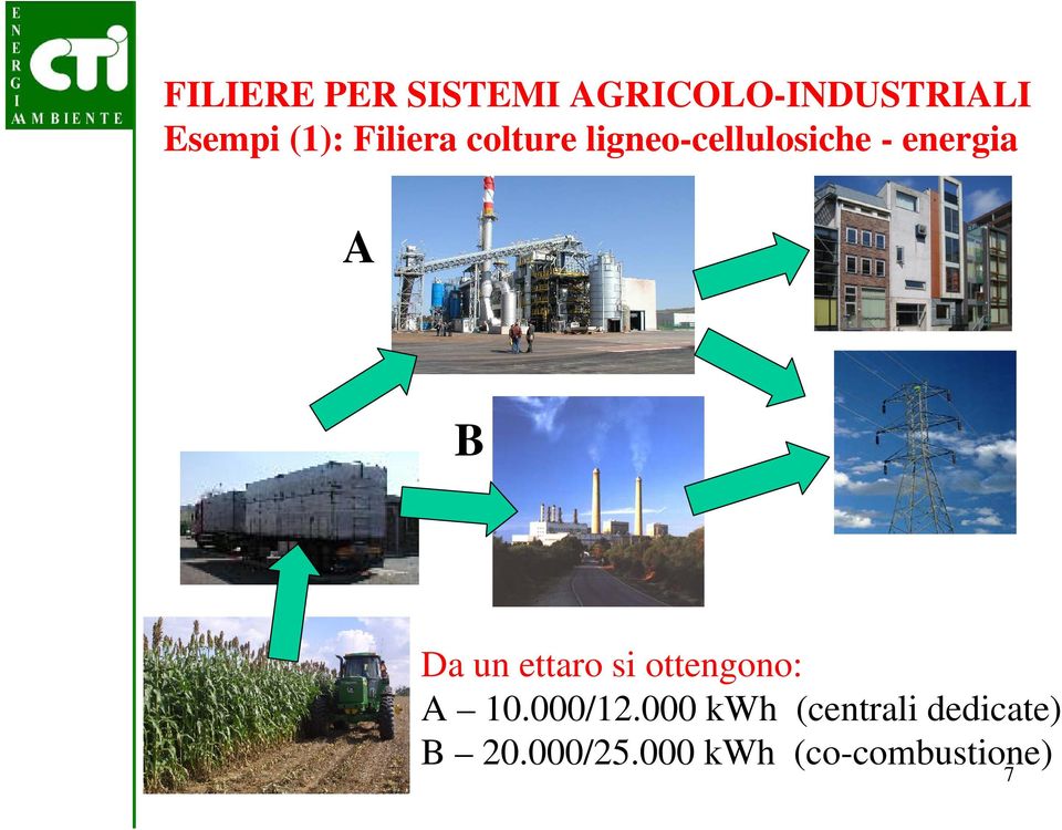 A B Da un ettaro si ottengono: A 10.000/12.