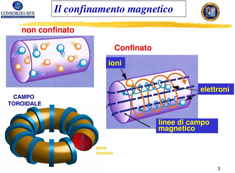 TOROIDALE elettroni linee di