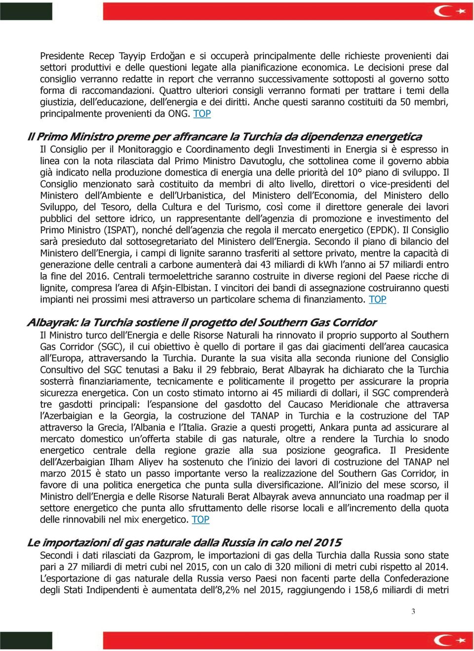 Quattro ulteriori consigli verranno formati per trattare i temi della giustizia, dell educazione, dell energia e dei diritti.