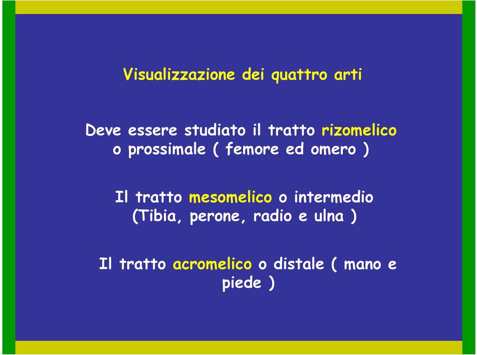 Il tratto mesomelico o intermedio (Tibia, perone,