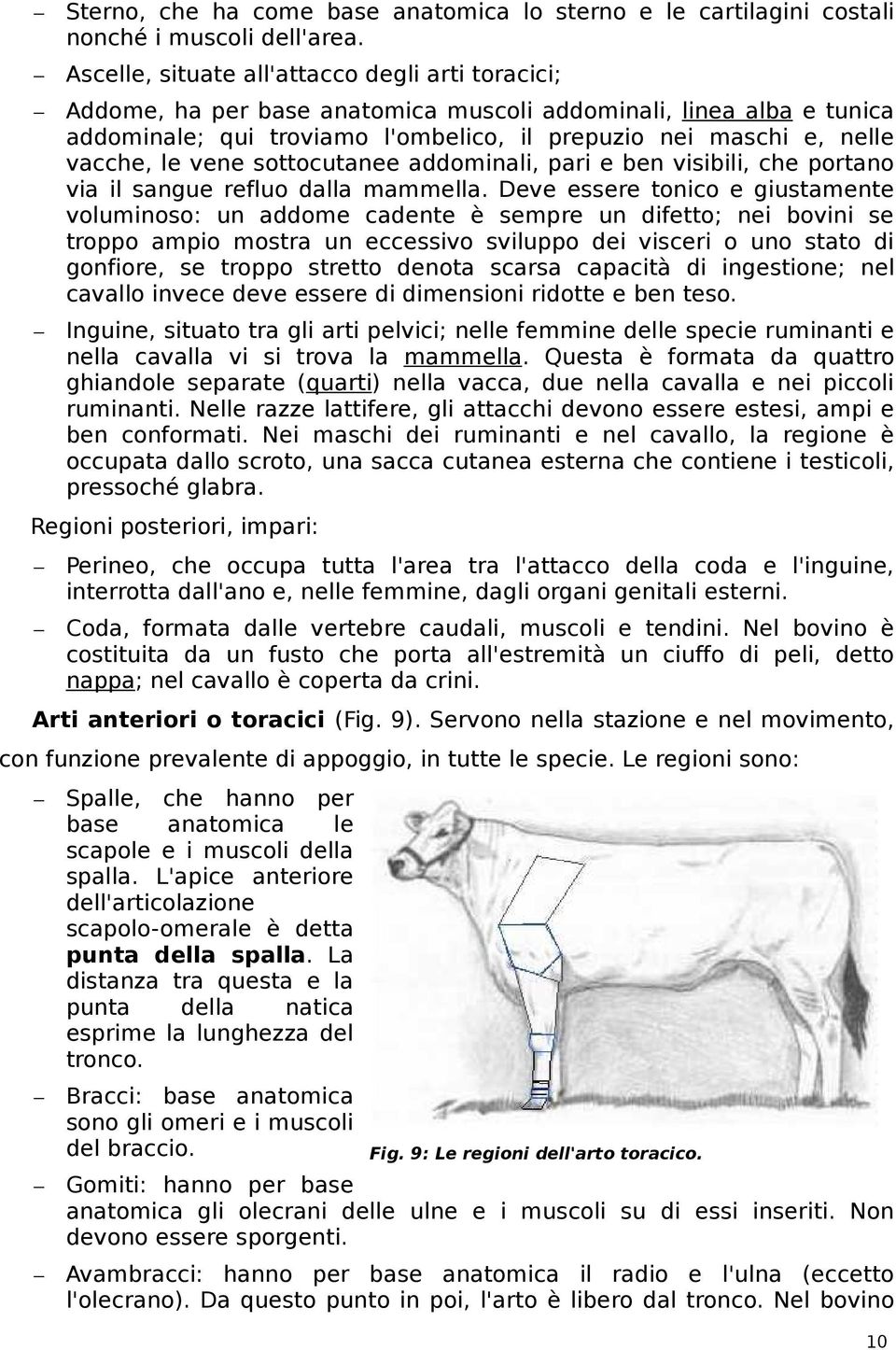 vene sottocutanee addominali, pari e ben visibili, che portano via il sangue refluo dalla mammella.