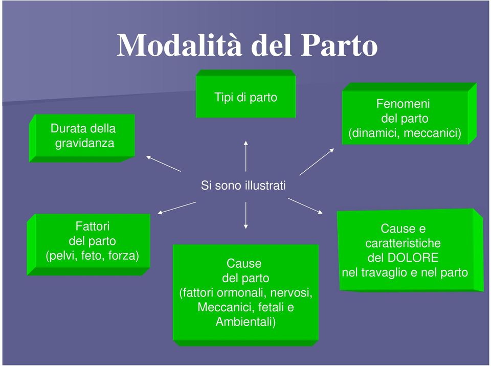 feto, forza) Cause del parto (fattori ormonali, nervosi, Meccanici,