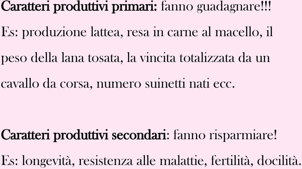 tosata, la vincita totalizzata da un cavallo da corsa, numero suinetti nati