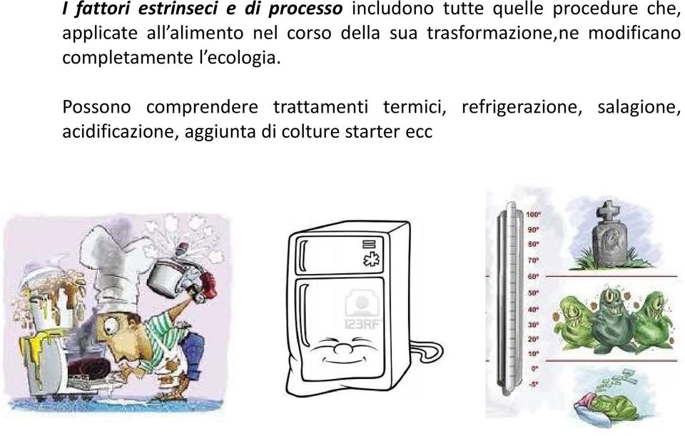 modificano completamente l ecologia.