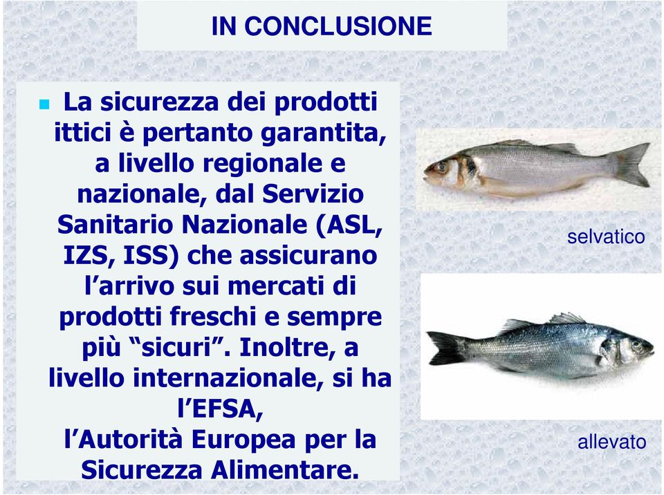 assicurano l arrivo sui mercati di prodotti freschi e sempre più sicuri.