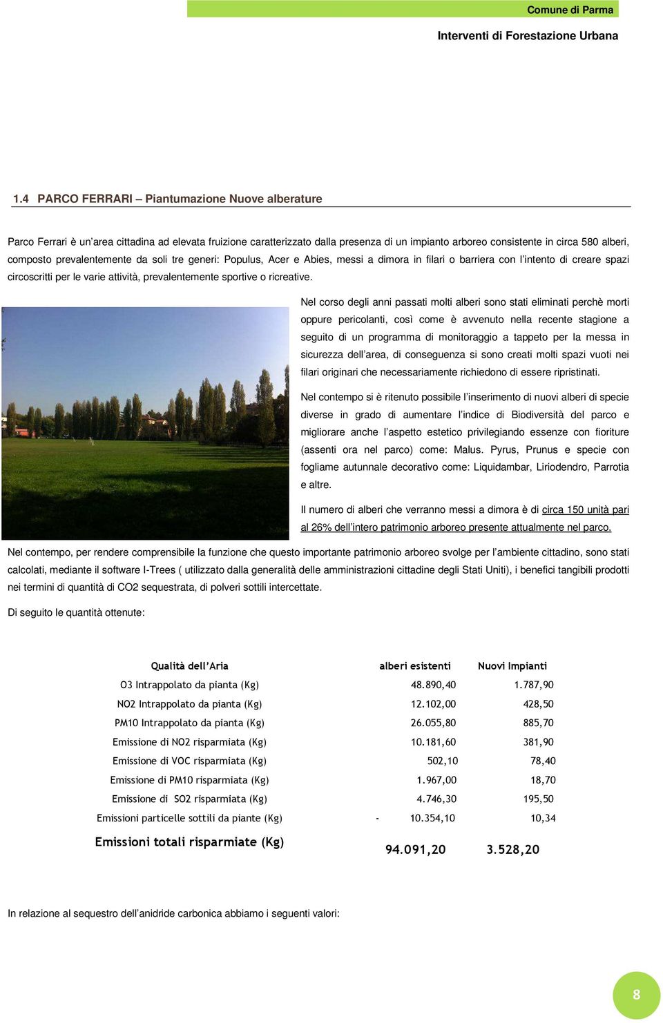 Nel corso degli anni passati molti alberi sono stati eliminati perchè morti oppure pericolanti, così come è avvenuto nella recente stagione a seguito di un programma di monitoraggio a tappeto per la